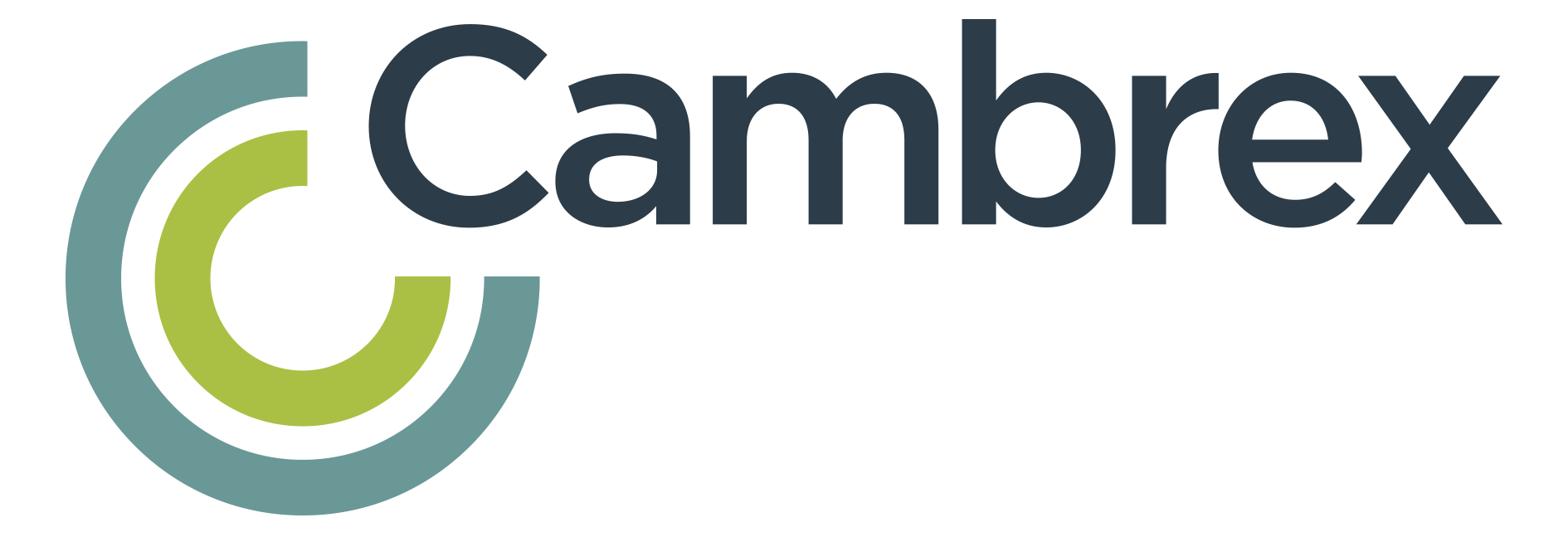 Cambrex IEP GmbH brochure